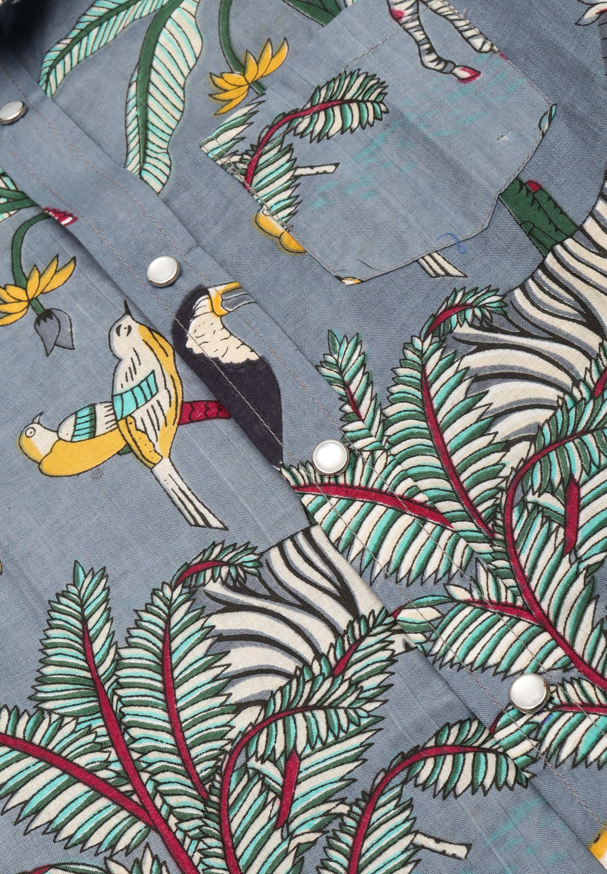 Jungle Safari Co-ord Set